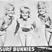 surf bunnies