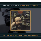 Sexual Healing (alternate 12-inch Instrumental) by Marvin Gaye