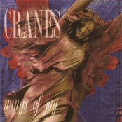 Inescapable by Cranes