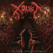 Blessed By the Divine