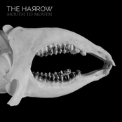 Mouth To Mouth by The Harrow