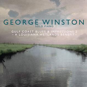 The Cries Of The Wetlands 1 by George Winston