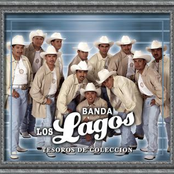 Banda Los Lagos: Tesoros de Coleccion