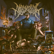 Vile Postmortem Irrumatio - The Instrumental Sickness