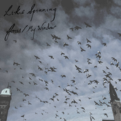 Forces / My Window SINGLE