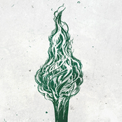 Burn All Of Your Bridges