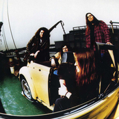 Screaming Trees