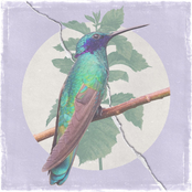 Ordinary Life - Single
