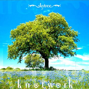 Tanglewood by Skytree