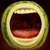 we are the Mellynns, thank you