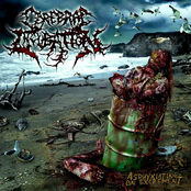 Asphyxiation On Excrement (Remastered)