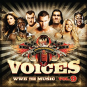 Age Against The Machine: Voices: WWE The Music Vol. 9