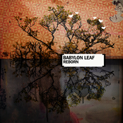 Reborn