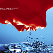 Boney James: Pure