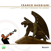 My way through the jungle