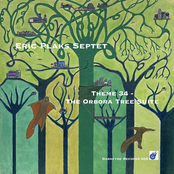 Theme 34 - The Orbora Tree Suite