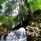 Nikko