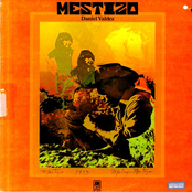 Mestizo