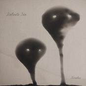 Delicate Sin