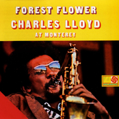 Sorcery by Charles Lloyd