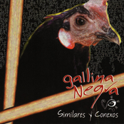 Similares Y Conexos