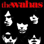 The Wahas