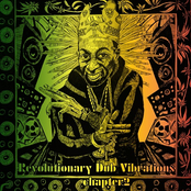 Revolutionary Dub Vibrations - Chapter Two