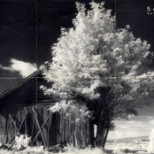 5 Composers ~ Second Coming