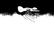 We Won't Be Here Forever