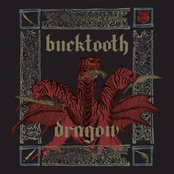 Bucktooth Dragon