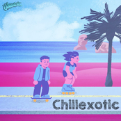 Chillexotic