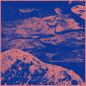 Throwing It's Roots Deep Into The Sea