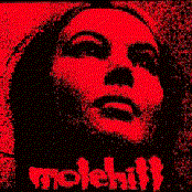 Vieled Voice by Molehill