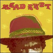 Head Shot: Reggae Instrumentals, Dubs And Other Oddities