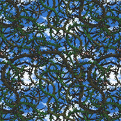 とげとげタルめいろ