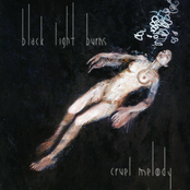 Cruel Melody by Black Light Burns