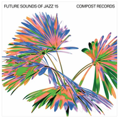 Future Sounds of Jazz Vol. 15