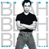 Iggy Pop: Blah-Blah-Blah