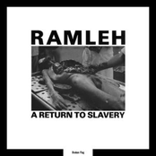 A Return To Slavery / Slaughter At Random