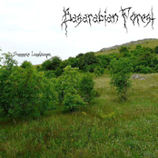 Summer Landscape