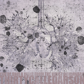 You're Only A Rebel From The W