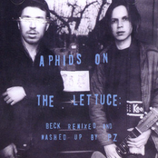 Aphids On The Lettuce: Beck Remixed & Mashed Up by PZ
