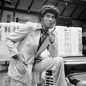 iceberg slim