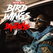 Birdwings and Bandanas II