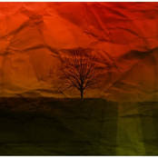 Upcoming Untitled Release