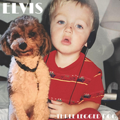 Three Legged Dog: Elvis