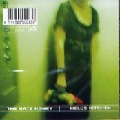 Teenage Attitude by Hate Honey