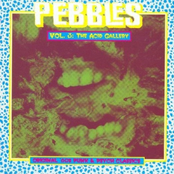 Pebbles Vol. 3: The Acid Gallery
