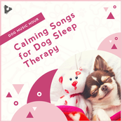 Calming Songs for Dog Sleep Therapy