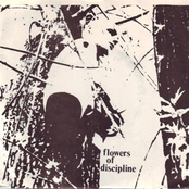 How to Give Your Child a Superior Mind